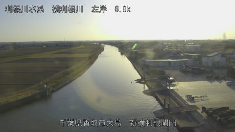 yoko2026011616_image