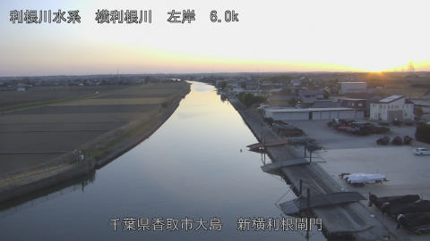 yoko2026011617_image