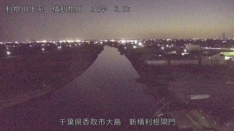 yoko2026011618_image