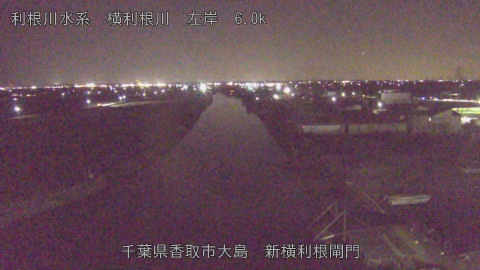 yoko2026011619_image