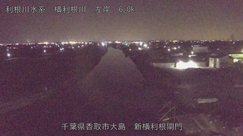 yoko2026011620_image