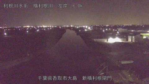 yoko2026011621_image