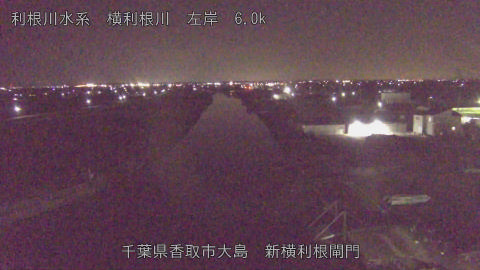 yoko2026011623_image