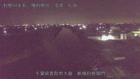 yoko2026011701_image