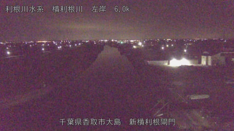 yoko2026011702_image