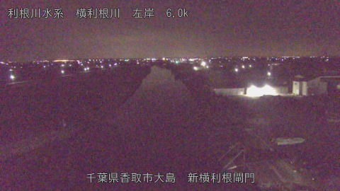 yoko2026011703_image