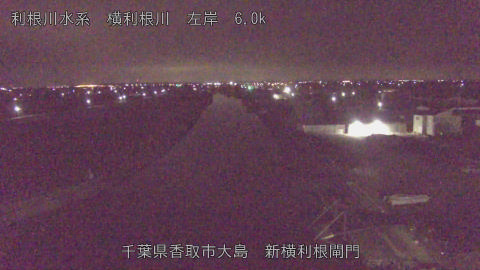 yoko2026011704_image