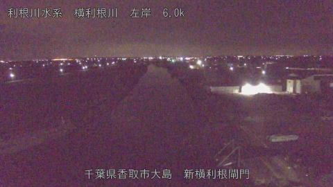 yoko2026011705_image