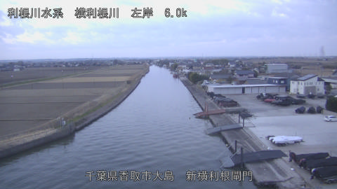 yoko2026011707_image