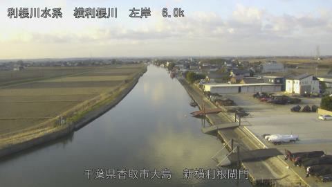 yoko2026011708_image