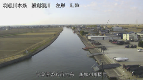 yoko2026011709_image