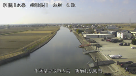 yoko2026011710_image