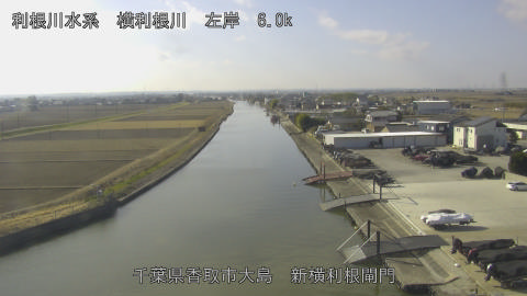 yoko2026011711_image