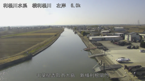 yoko2026011712_image