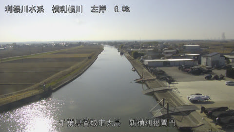 yoko2026011713_image