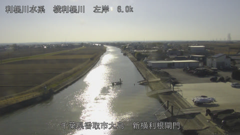 yoko2026011714_image