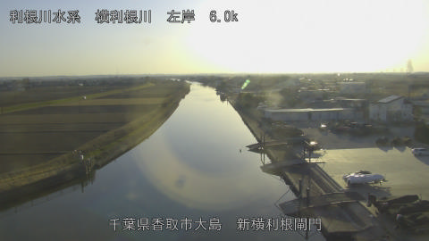 yoko2026011716_image