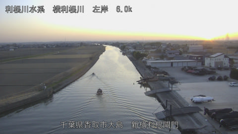 yoko2026011717_image