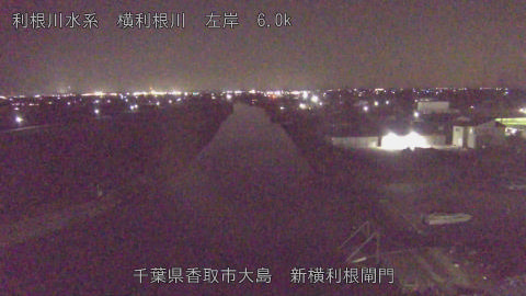 yoko2026011720_image