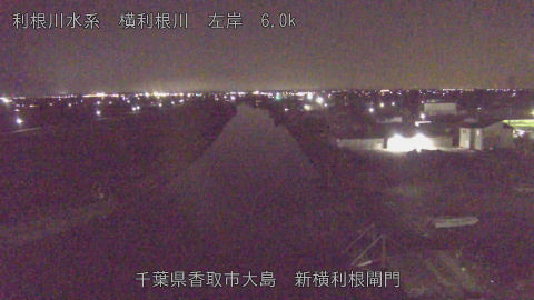 yoko2026011721_image