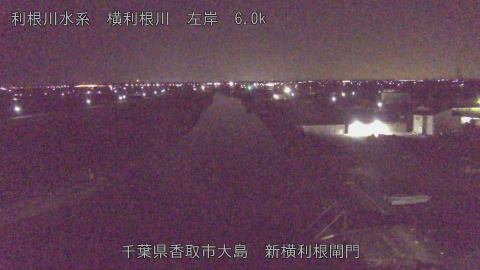 yoko2026011801_image