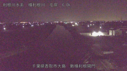 yoko2026011803_image