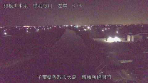 yoko2026011804_image