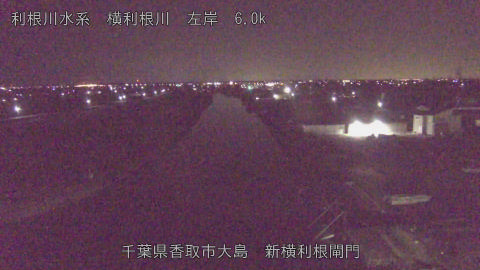 yoko2026011805_image