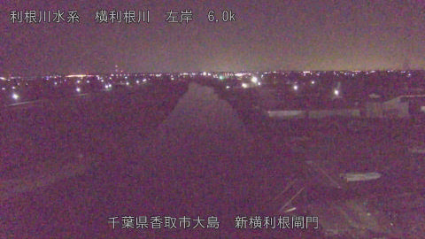 yoko2026011806_image