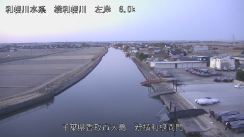 yoko2026011807_image