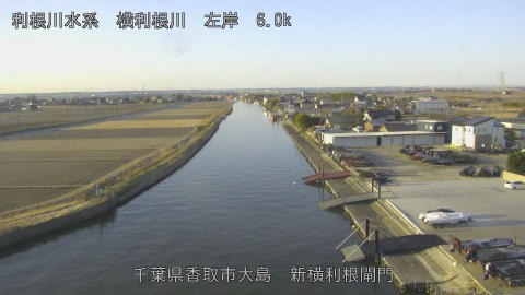 yoko2026011808_image