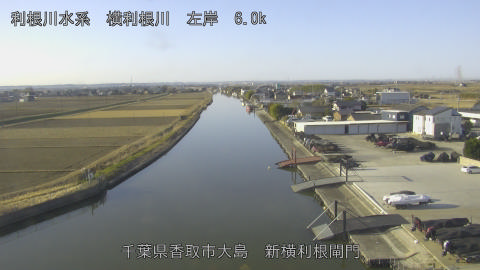 yoko2026011809_image