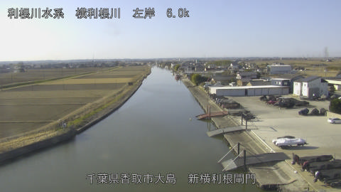 yoko2026011810_image