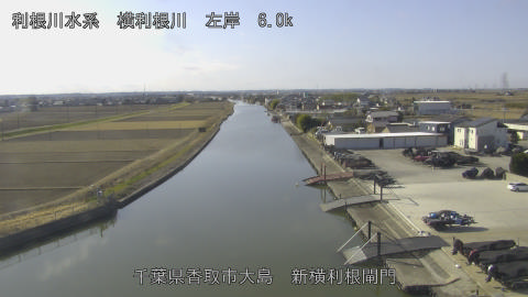 yoko2026011811_image