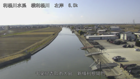 yoko2026011812_image