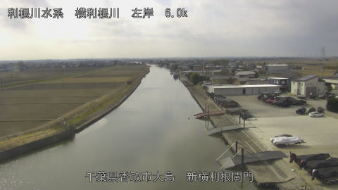 yoko2026011912_image