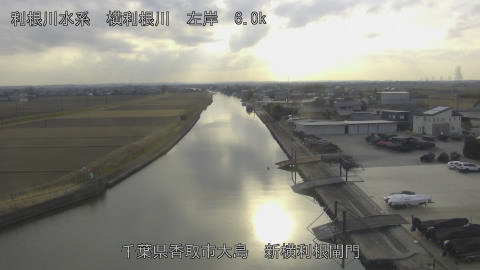 yoko2026011915_image