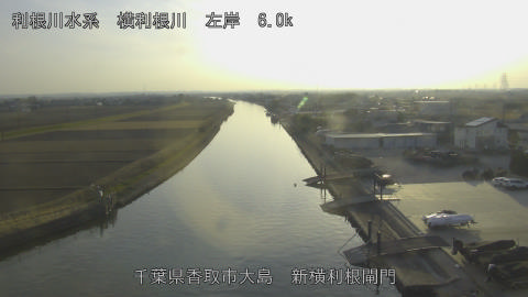 yoko2026011916_image