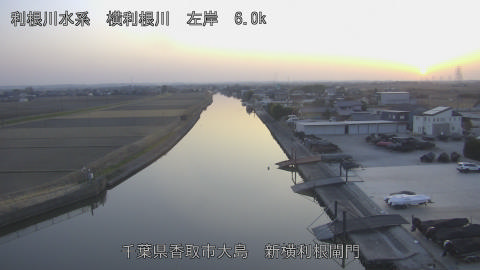 yoko2026011917_image