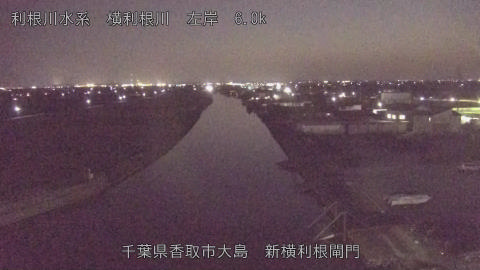 yoko2026011918_image