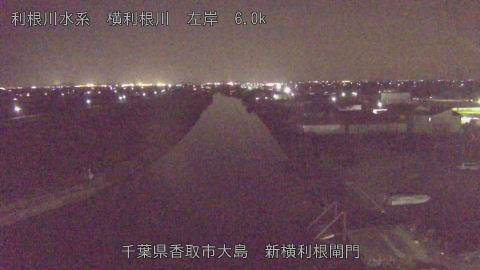 yoko2026011919_image