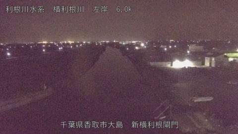 yoko2026011922_image