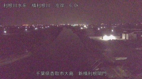 yoko2026012004_image