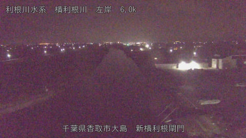 yoko2026012005_image