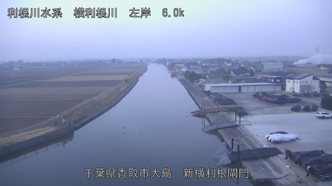 yoko2026012007_image