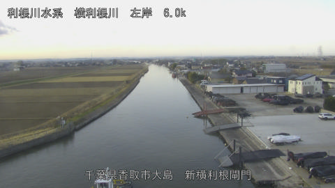 yoko2026012008_image