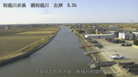 yoko2026012009_image