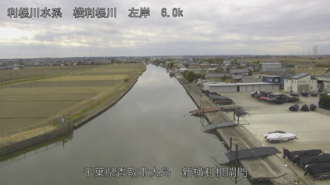 yoko2026012013_image