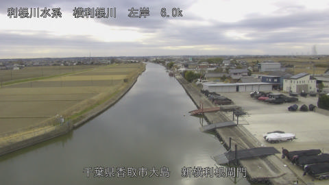 yoko2026012014_image