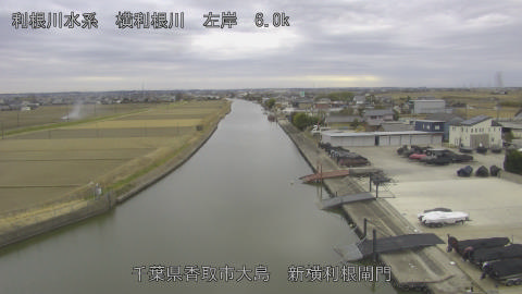 yoko2026012015_image